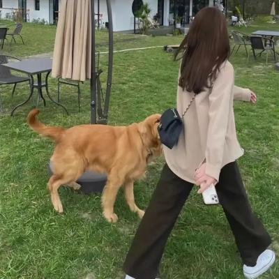 我的村我的家