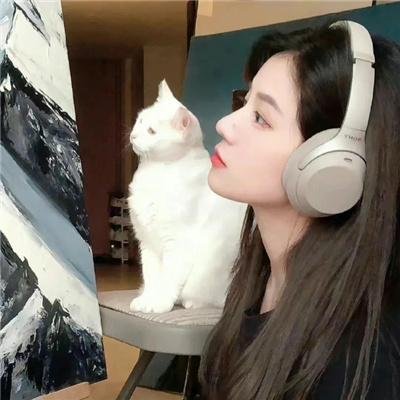 龟女士的奥德赛